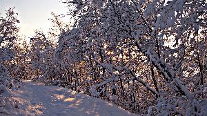 Christmas Wallpaper_32.jpg Christmas Wallpapers